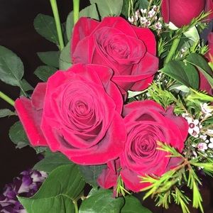 Meet your Posher, Tanya